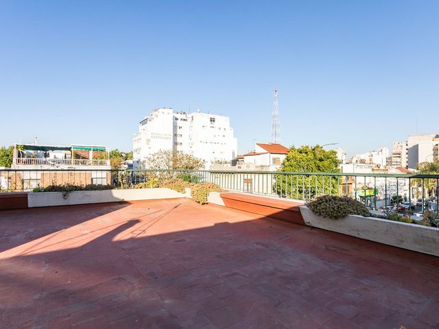 place photo 40