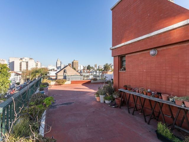 place photo 37