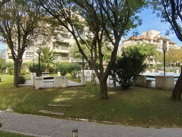 place photo 34