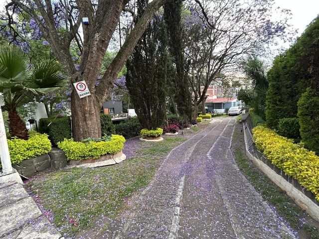 place photo 33