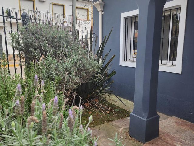 place photo 24