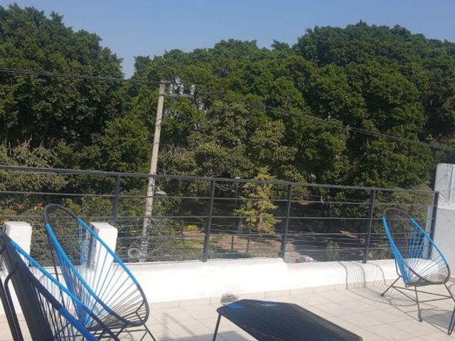 place photo 14