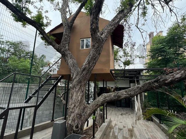 place photo 42