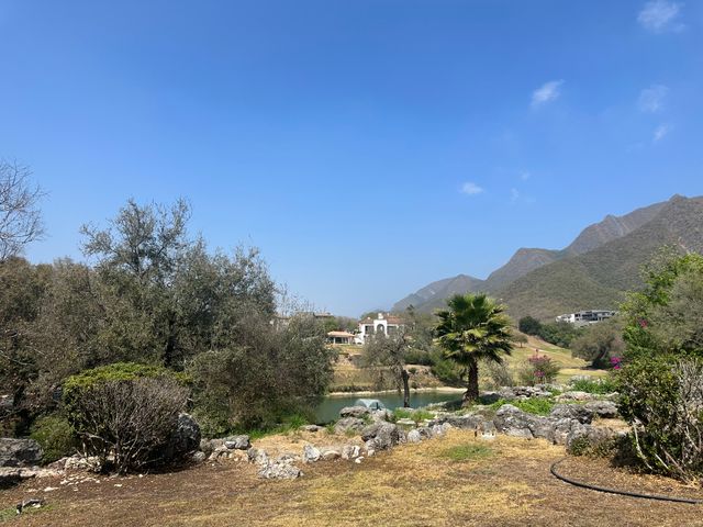 place photo 33