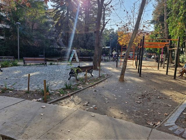 place photo 35
