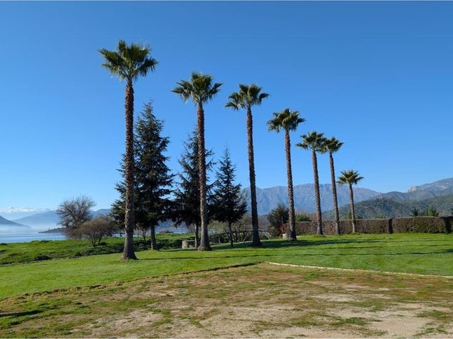 place photo 41