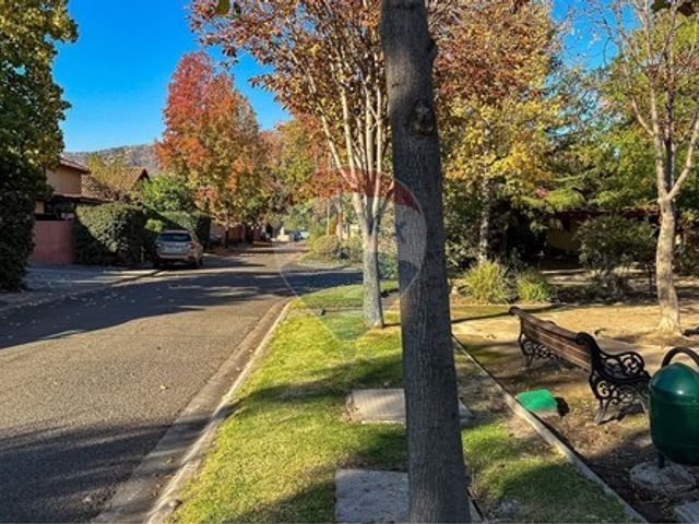 place photo 49
