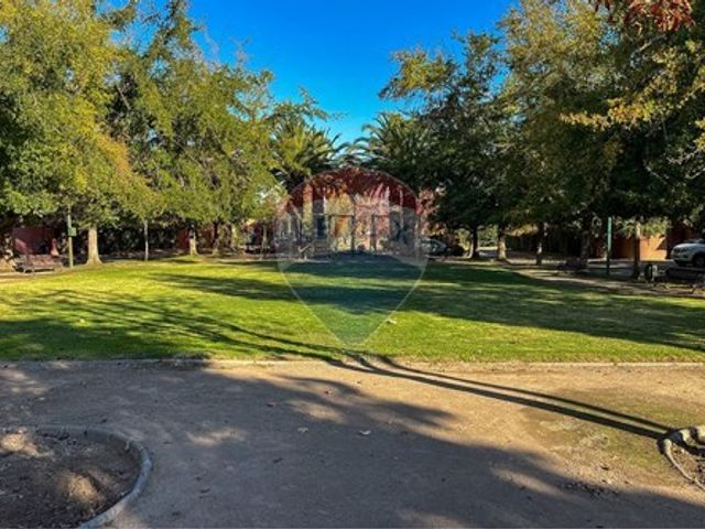 place photo 47
