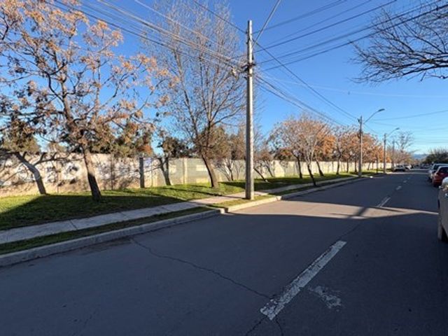place photo 39