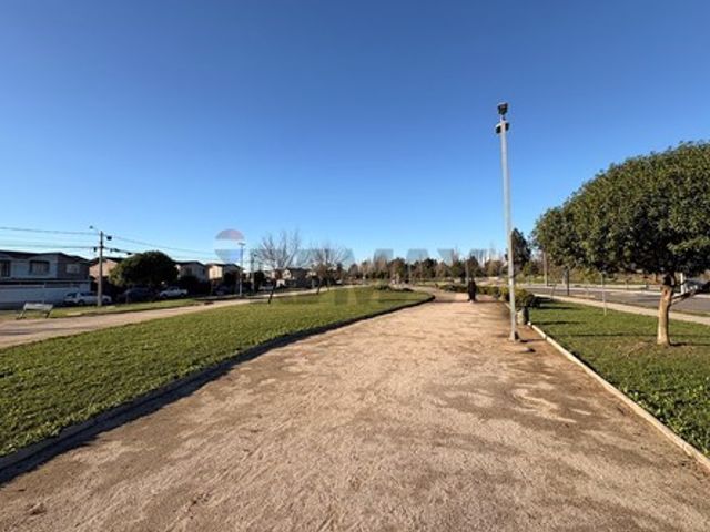 place photo 41