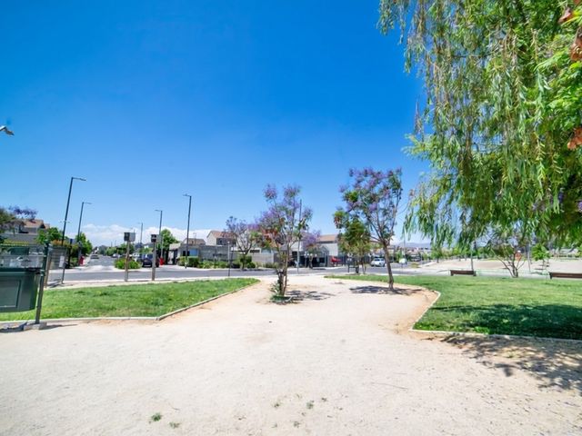 place photo 27