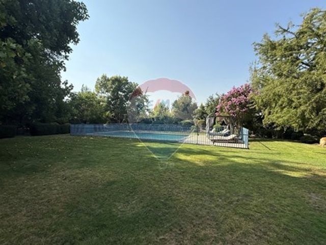 place photo 38