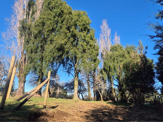 place photo 24