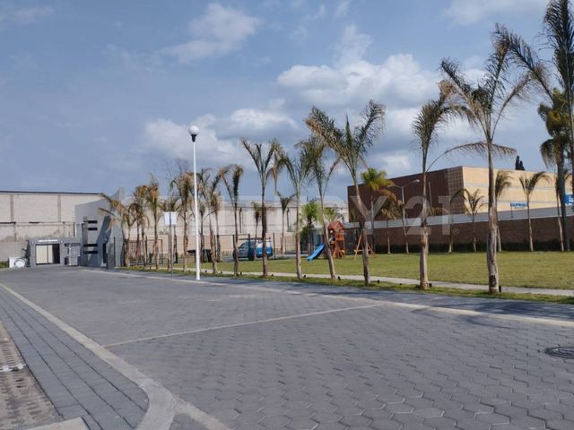 place photo 17