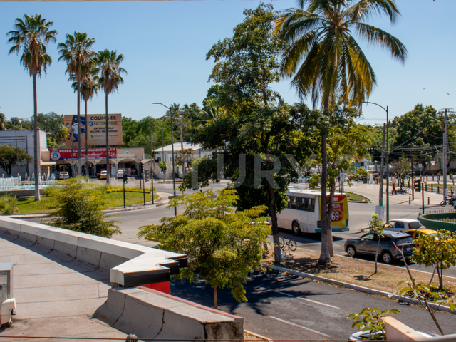 place photo 13