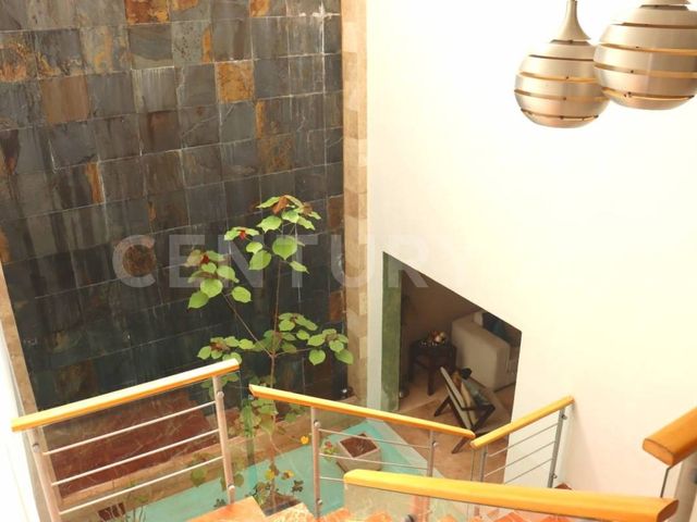 place photo 61