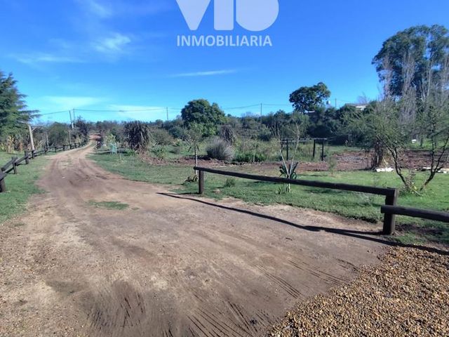 place photo 15