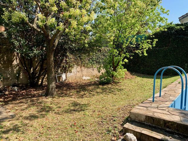 place photo 54