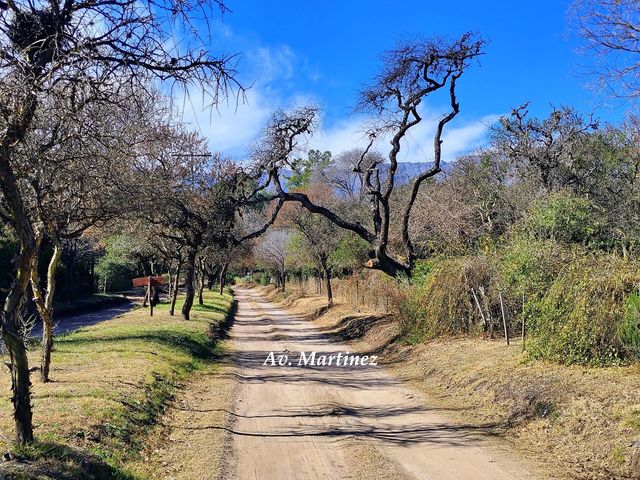 place photo 48