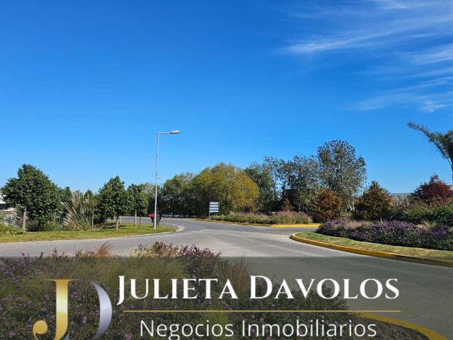 place photo 41