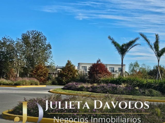 place photo 44