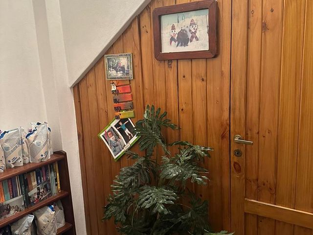 place photo 41