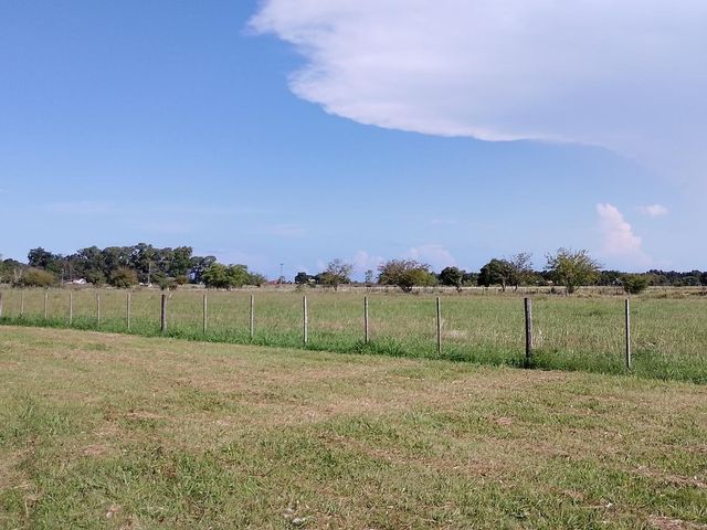 place photo 45