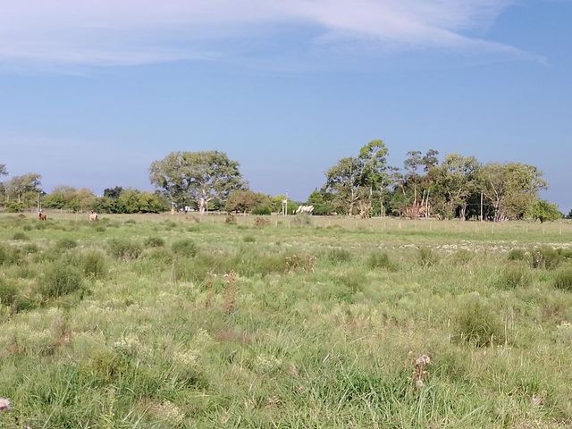 place photo 43