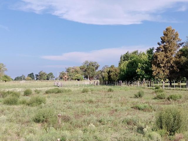 place photo 46