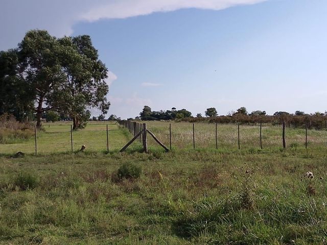 place photo 44