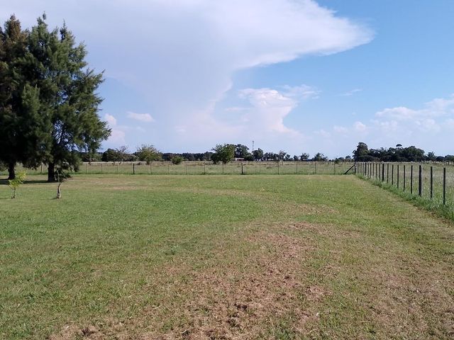 place photo 42