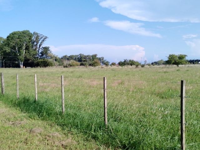 place photo 48