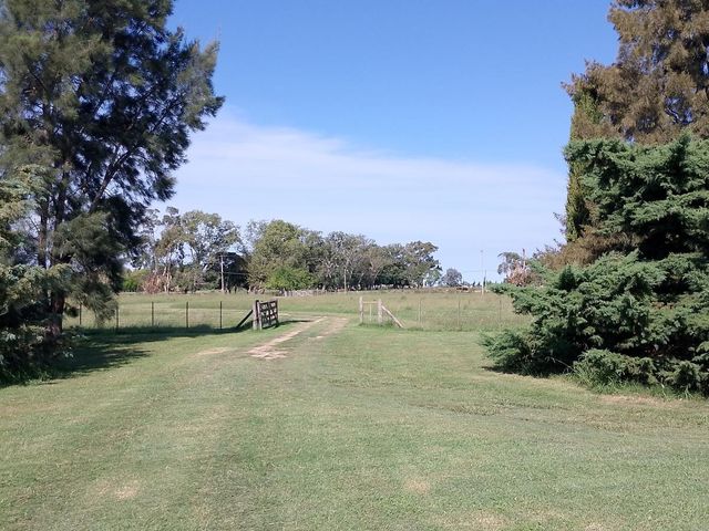 place photo 41