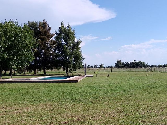 place photo 29