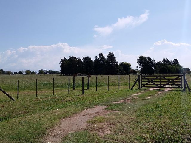 place photo 47