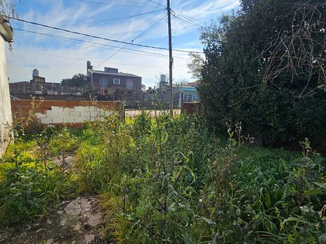 place photo 11