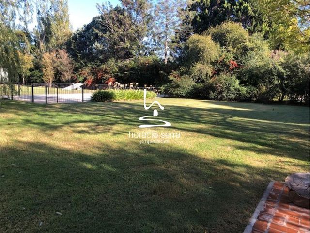 place photo 42
