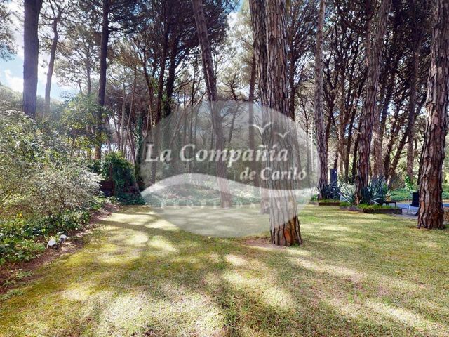 place photo 48