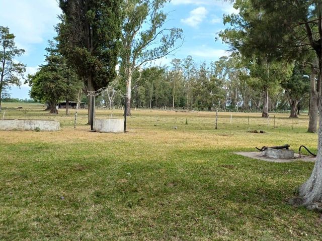 place photo 23