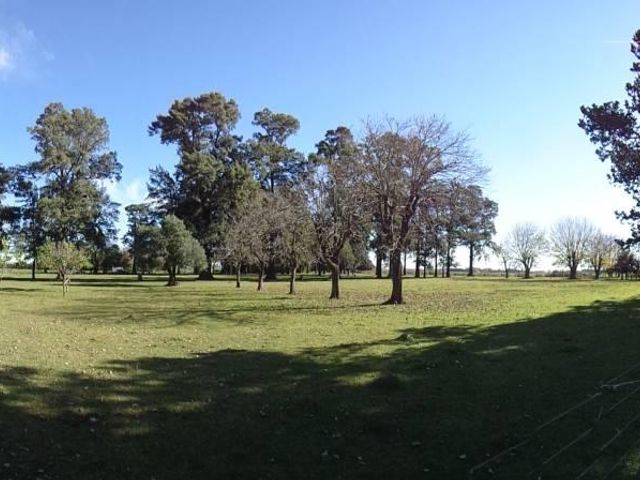 place photo 8