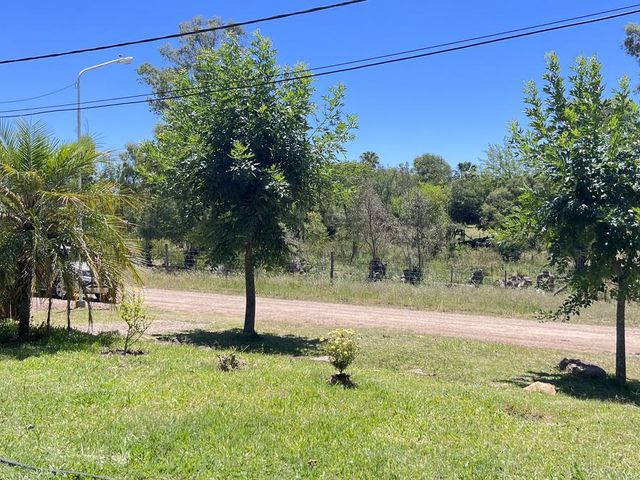 place photo 42