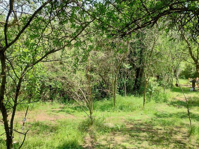 place photo 46
