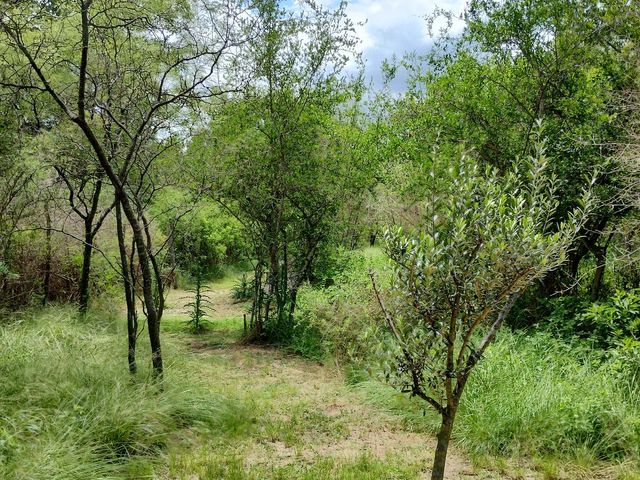 place photo 45