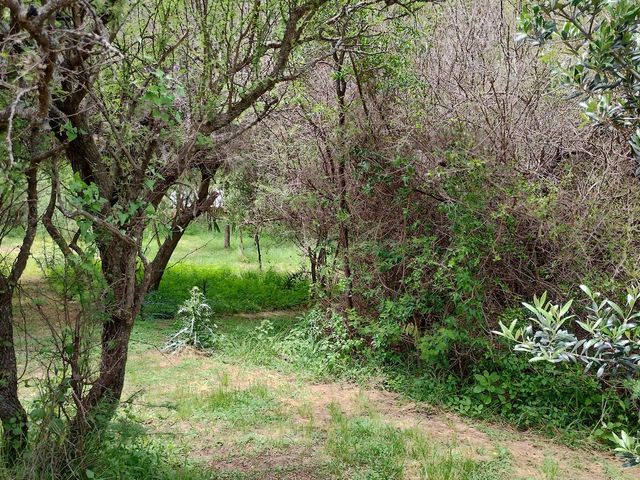place photo 50