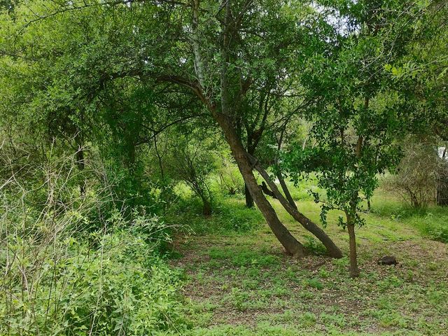 place photo 43
