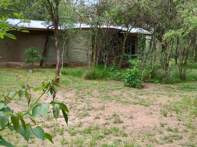 place photo 44