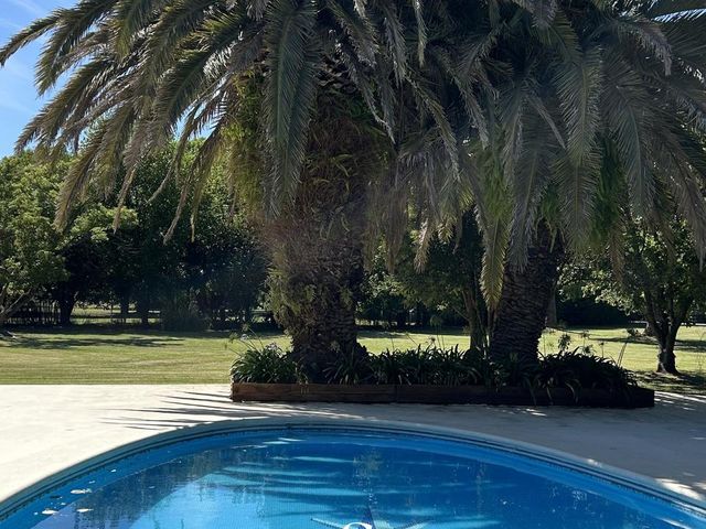 place photo 33