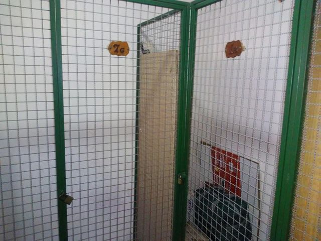 place photo 29