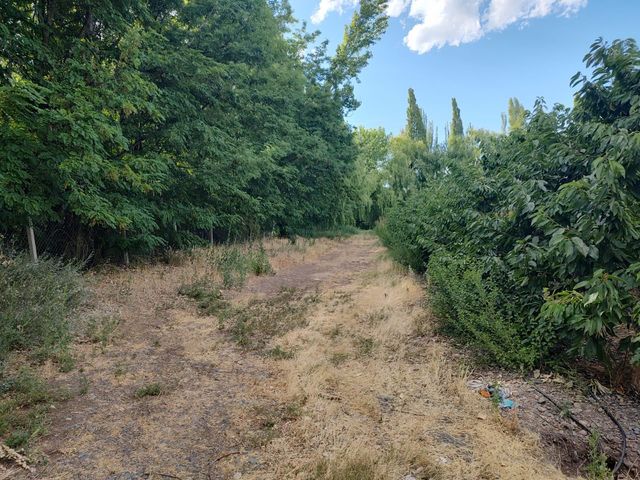 place photo 10
