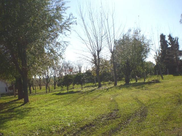 place photo 15
